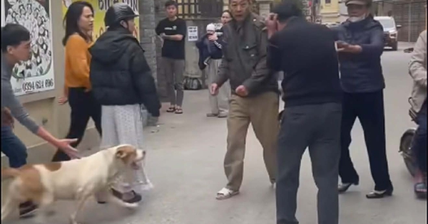 Vụ thả chó cắn người nhập viện ở Hà Nội: Nạn nhân kể chi tiết